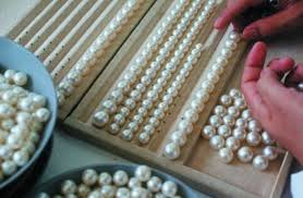 steps in pearl culture, pearl sorting, cultured pearls, unmarked pearls, major blemish